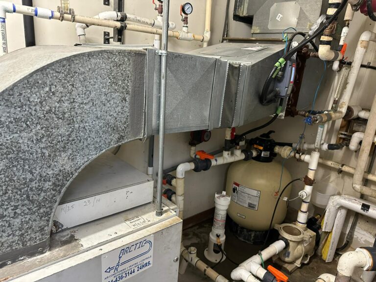 WhatsApp Image 2026-04-20 at 11.04.10 PM